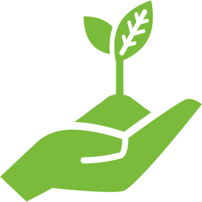 Rápida decomposição